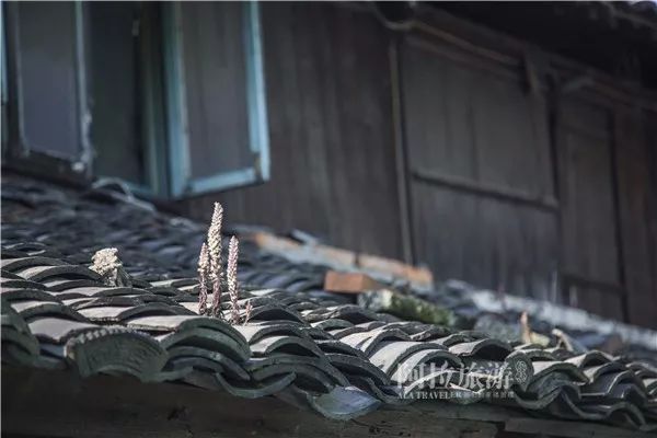 鄞州区姜山老街,姜山古街历史