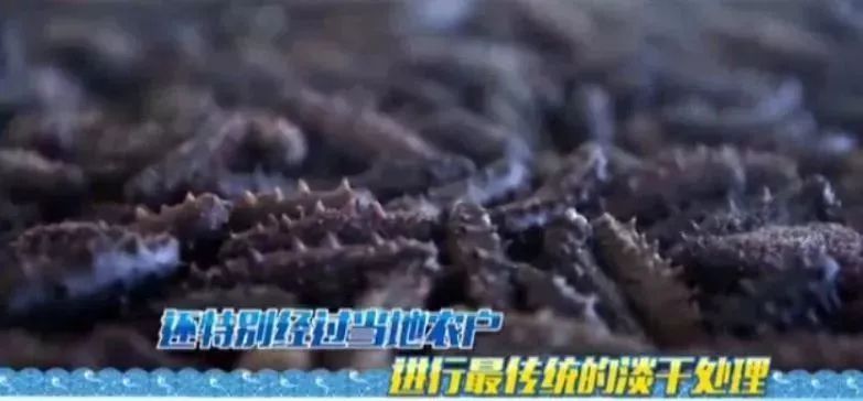 十块钱吃海鲜,吃海参的秘密