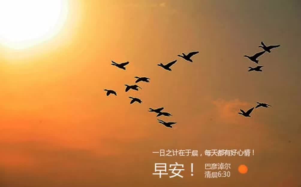 鸿雁知天下简介,鸿雁知天下