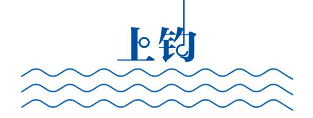 海钓矶钓新手的入门教程,海钓矶钓技巧教学解说