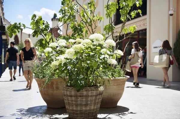 巴塞罗那旅游时间攻略,巴塞罗那深度旅游攻略