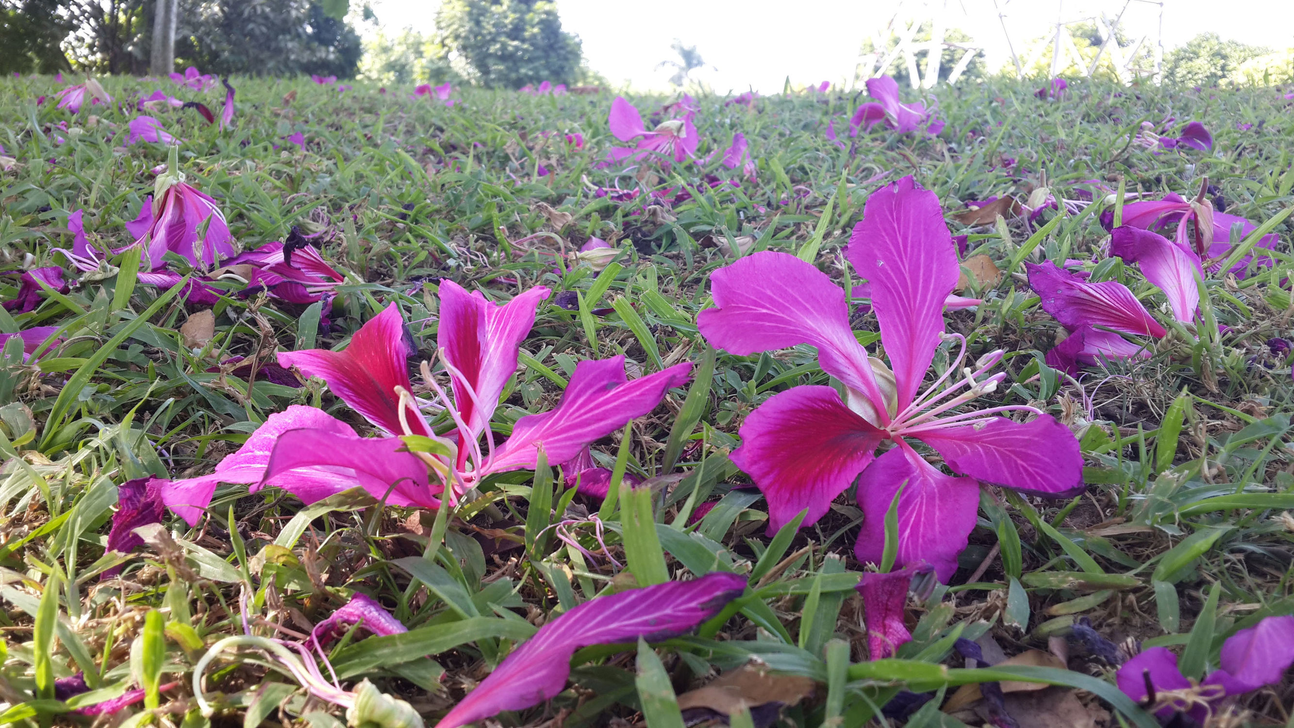 tfo冲锋衣男款,美国tfo冲锋衣怎么样