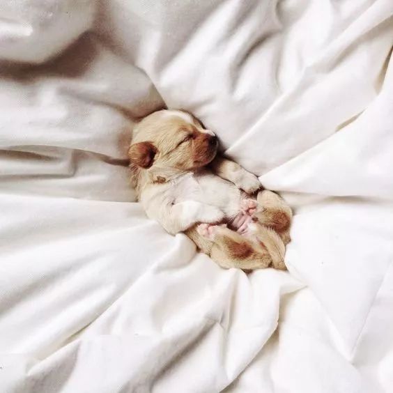 新的一年梳妆台也要断舍离，从此开启开挂般的人生！