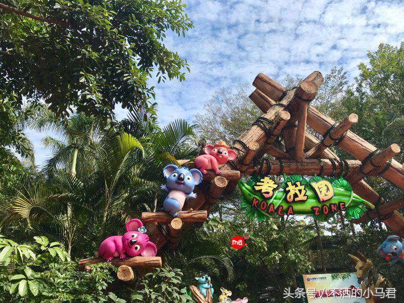 长隆野生动物园3天2晚亲子游,广州长隆野生动物园亲子游攻略