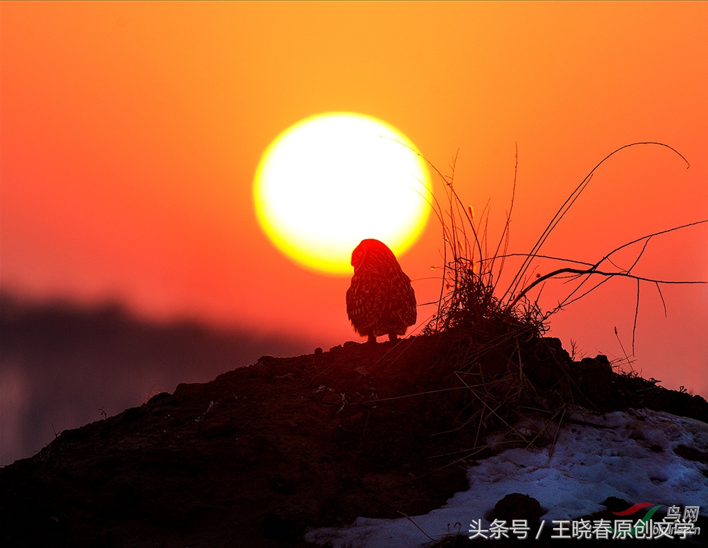 天各一方长相思望穿秋水君可知,望穿秋水君可知