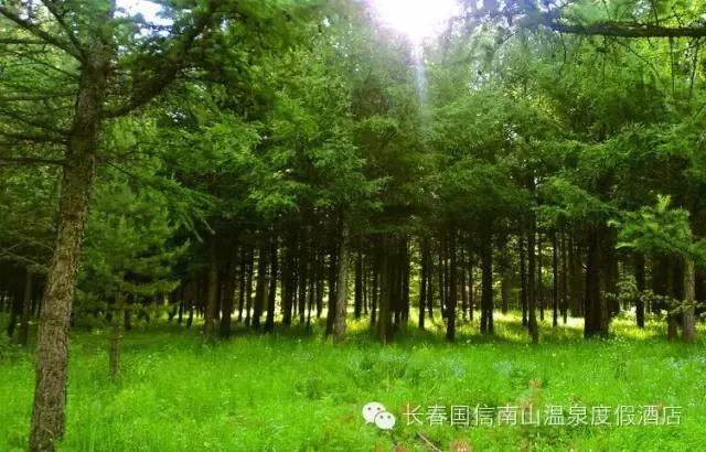 国信南山温泉门票加自助多少钱,长春国信南山温泉营业时间