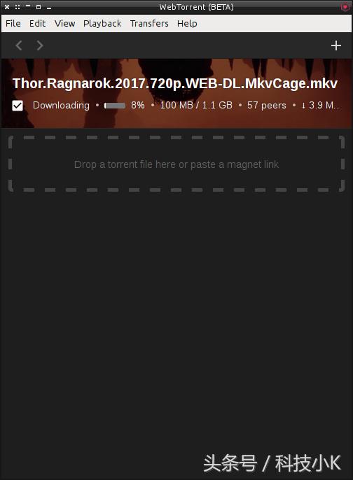 播放torrent的软件,看种子软件