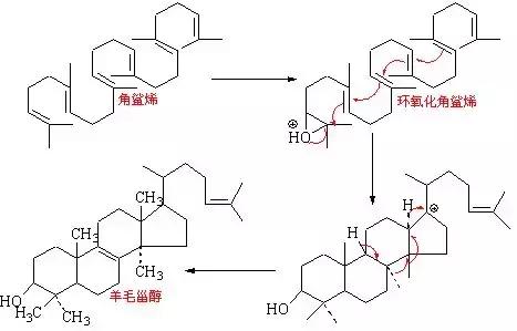 角鲨烯油护肤,角鲨烯怎么用来护肤