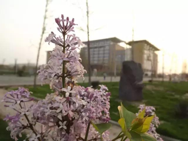 邯郸市一中在全省排名,邯郸市一中今年省排名第几