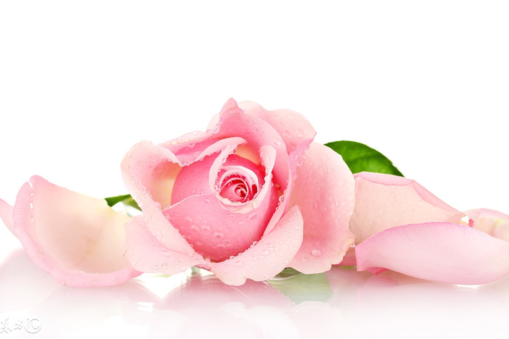 收缩毛孔的最好方法测评,收缩毛孔的最好方法推荐