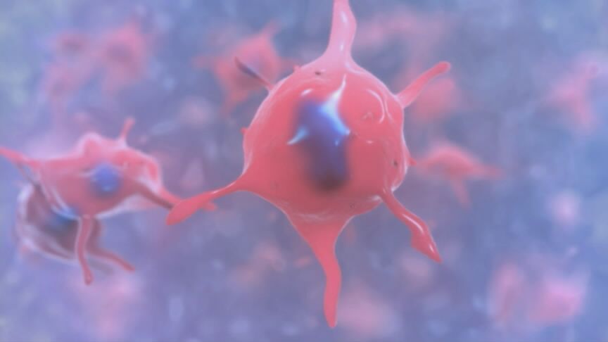 干细胞激活提高卵巢功能成都,卵巢早衰干细胞研究最新进展