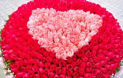 情人节玫瑰价格寓意,情人节送白色和橙色玫瑰花的寓意