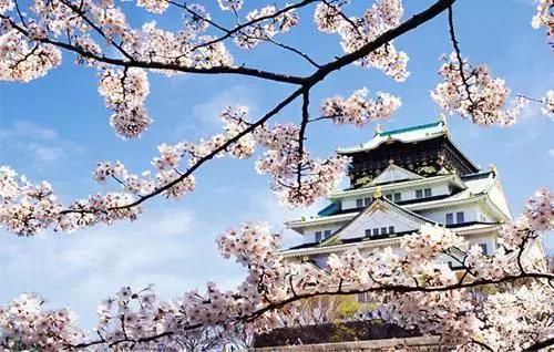 樱花和玻尿酸哪个好,玻尿酸最好的一款