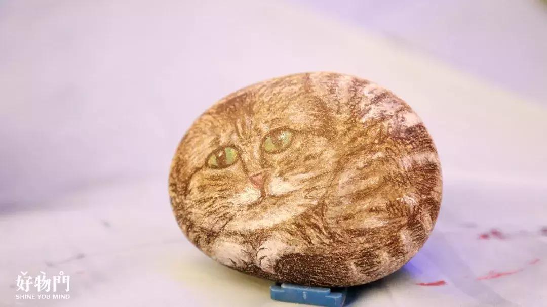 养蛙不如吸猫，这个冬*你日**准备好画板了吗