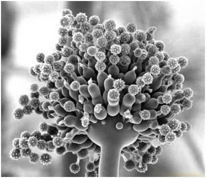 宝宝辅食米粉排行榜10强,大米米粉辅食