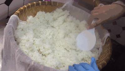 宁波小伙放弃7年国企铁饭碗,转行杀鱼,现在怎么样了?