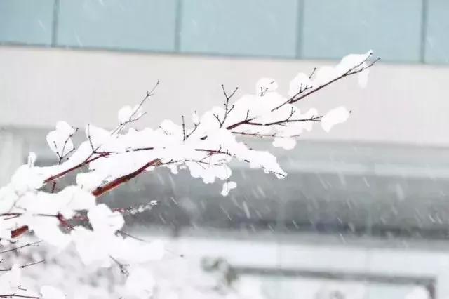 支招!即洗即干,格力净静让你空出阳台看雪景