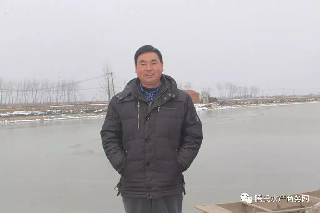 养鱼致富之路及方法,养鱼技术与养鱼视频