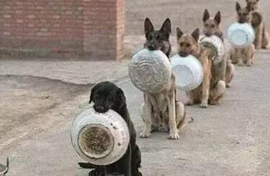 电竞比赛翻盘事件,电竞比赛选手违约