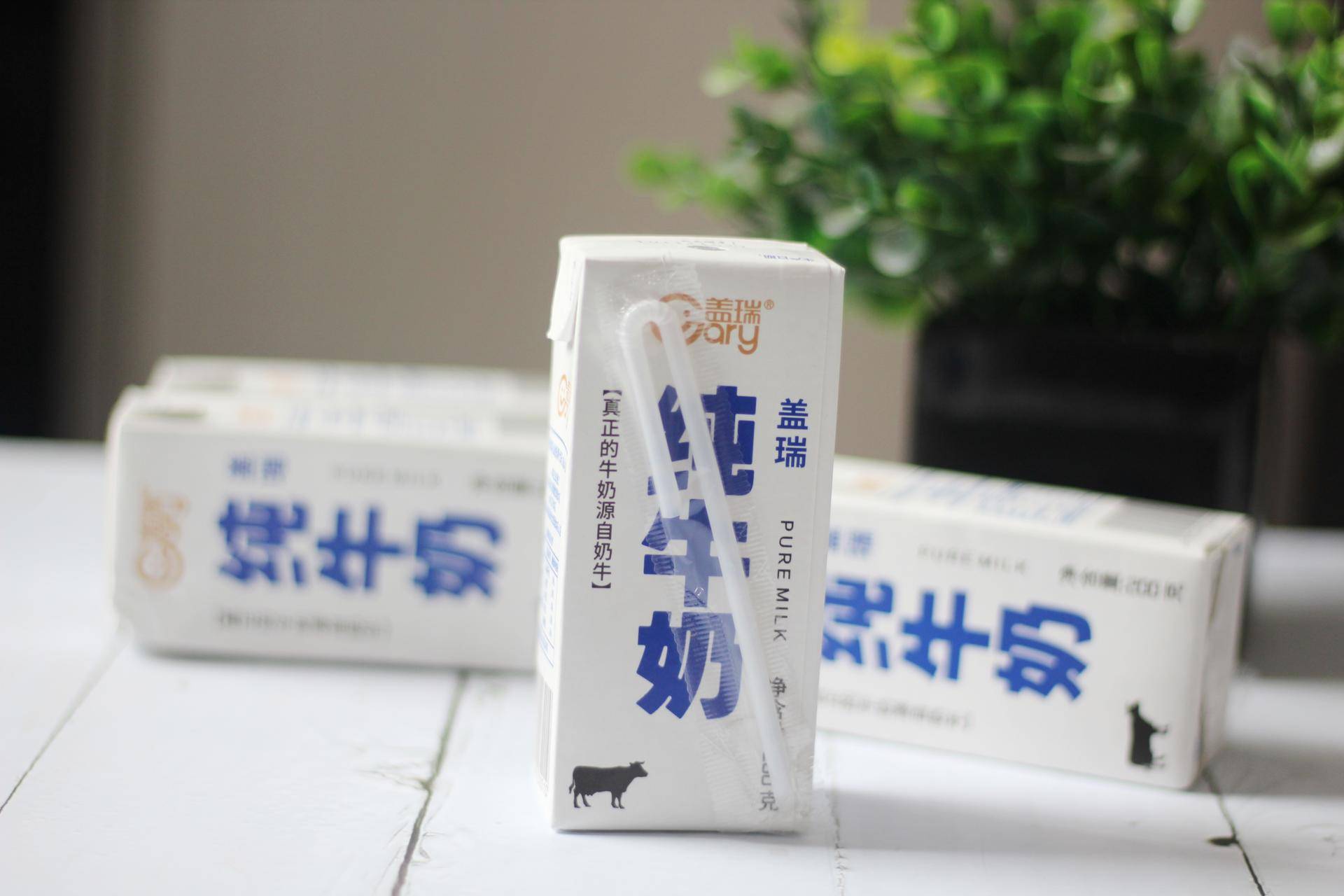 盖瑞新疆纯牛奶,盖瑞纯牛奶品种