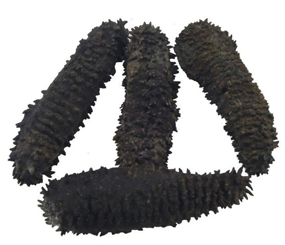 回国托运行李哪些东西不能带,海关不允许带的东西可以寄回国吗