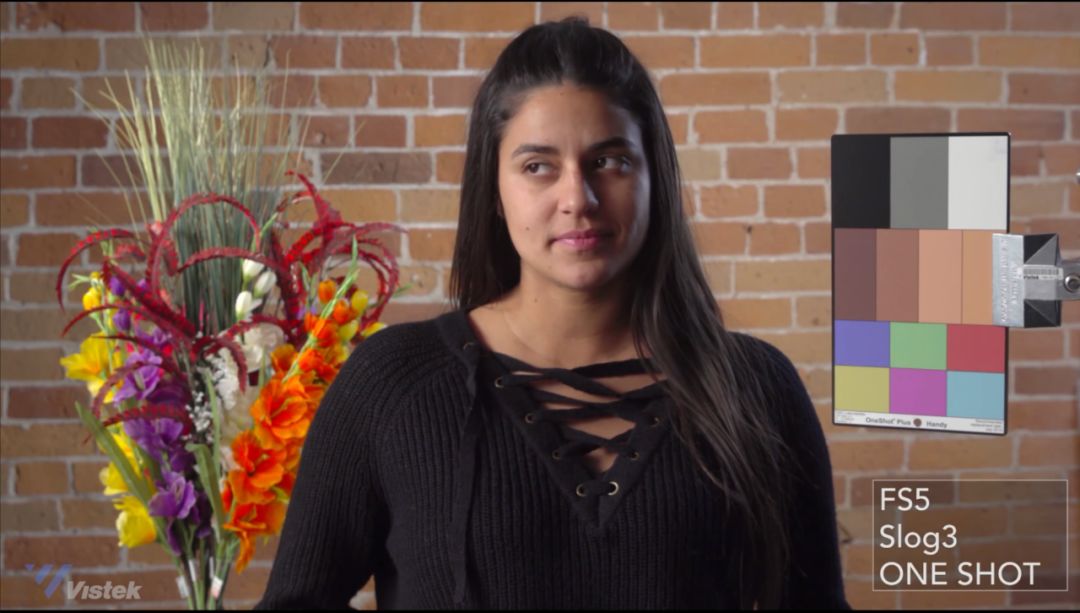 索尼佳能富士拍人像,佳能松下相机直出对比