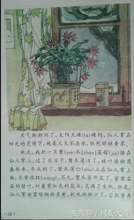 语文课本童年的回忆板书,小学语文课本回忆2012版