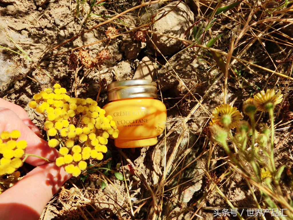 夏天欧舒丹,清爽去油欧舒丹