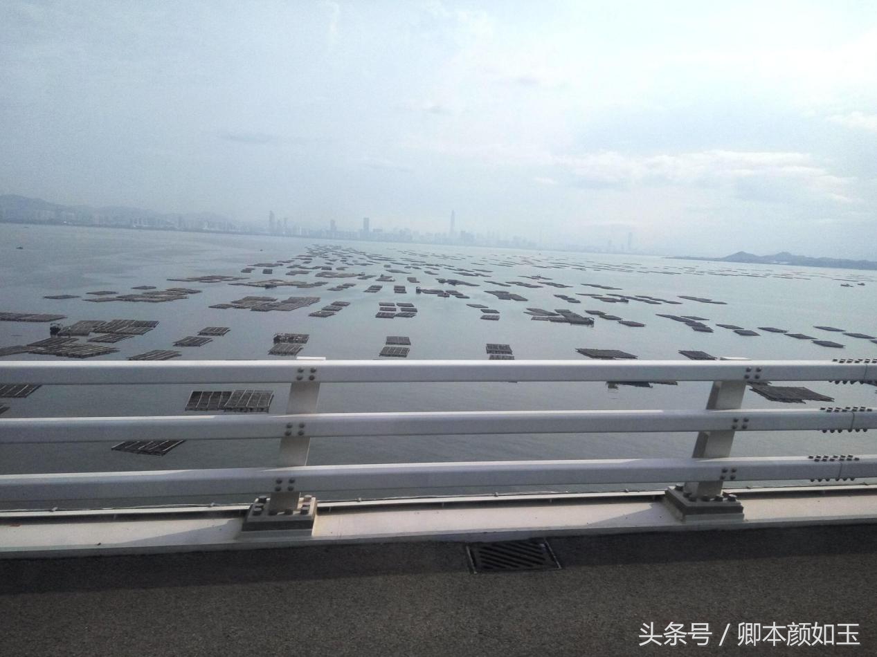 广东深圳旅游必去十大景点有哪些,去深圳十大景点攻略路线