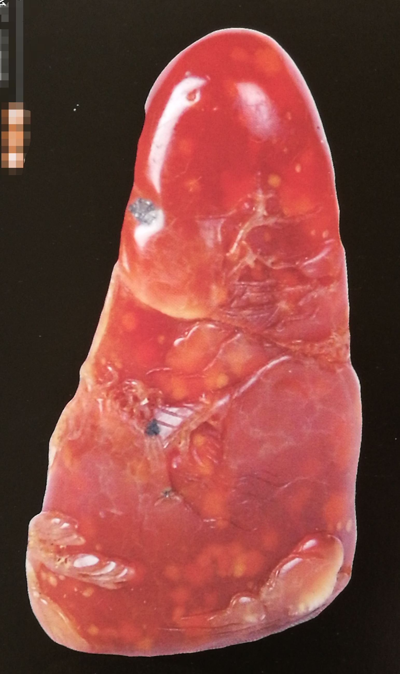 田黄石十大品种,皇帝田黄石品种图片