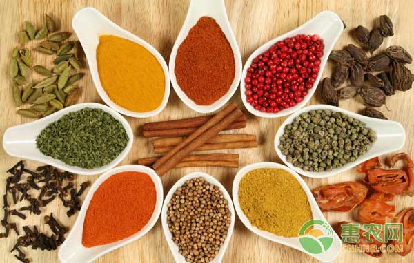 最近几年最好卖的药材,2022年十大紧缺药材价格表