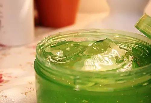 房间放一盆芦荟什么好处,家里养了芦荟可以做什么