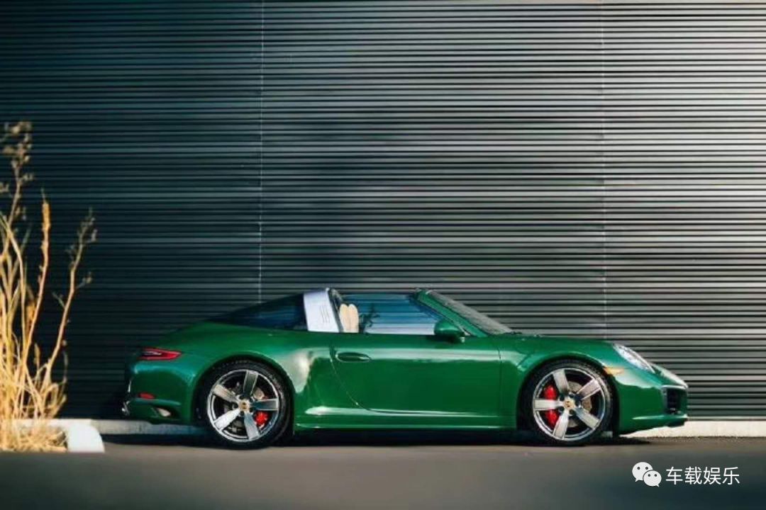 蛙儿子的旅行,蛙儿子旅行