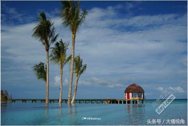 奥臻岛有什么吃的,奥臻岛一价全包多少钱