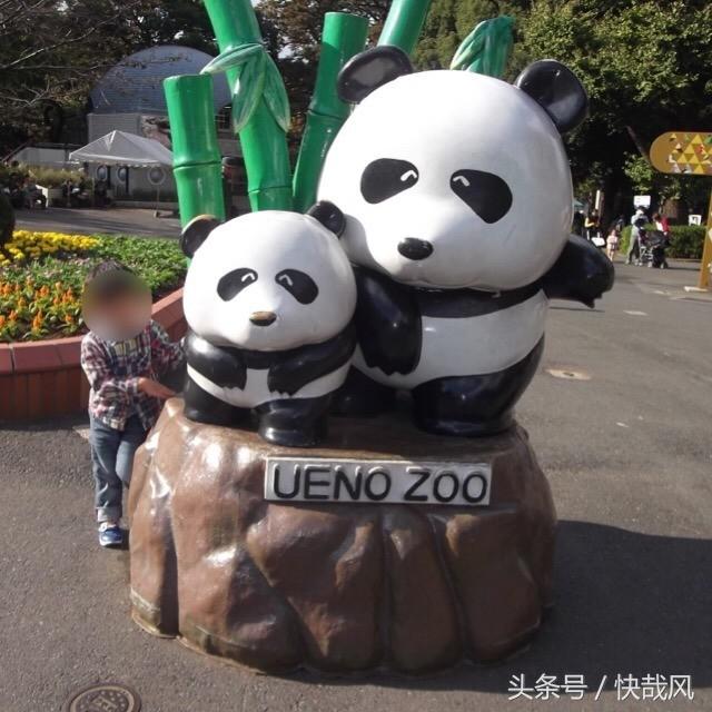 二战日本为何杀光动物园猛兽？一头逃走的黑豹造成东京大骚动