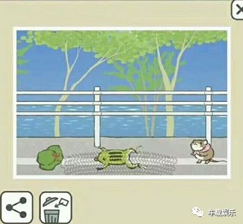 蛙儿子的旅行,蛙儿子旅行