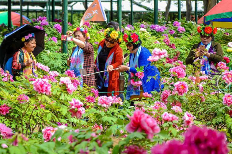 最新洛阳热议新闻,2018年洛阳新闻头条