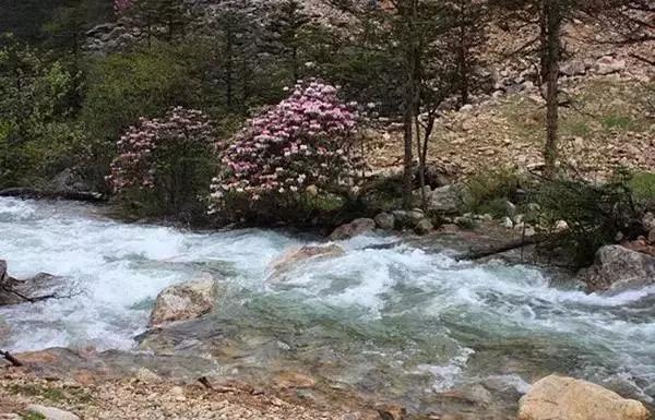 川西小众景点地图,自驾川西甘孜不能错过的小众秘境