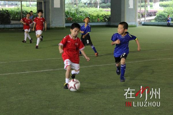 2024柳州小学生足球比赛,柳州小学区长杯足球比赛