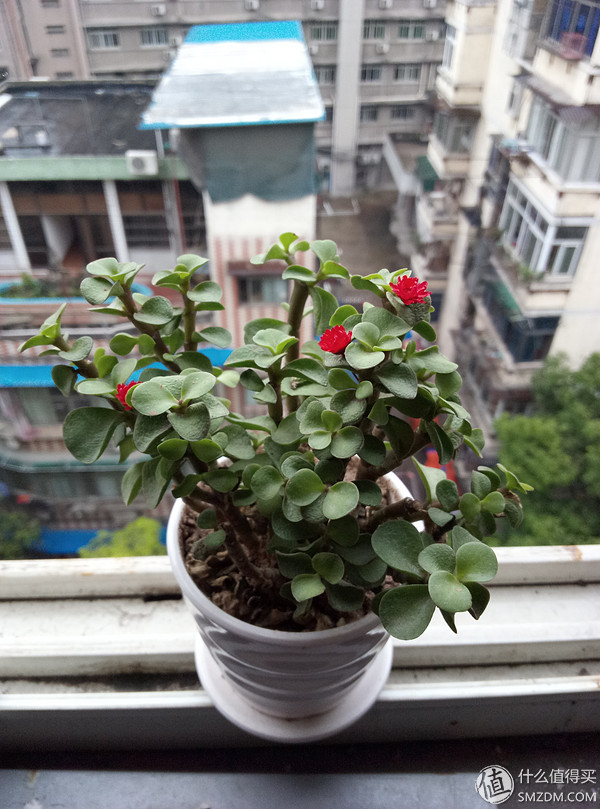 千元机新巅峰魅蓝note3全面评测,魅蓝note3小白测评