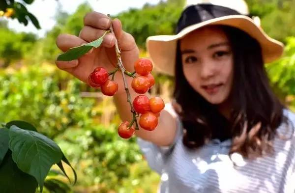 五一何须远游昆明近郊玩场多