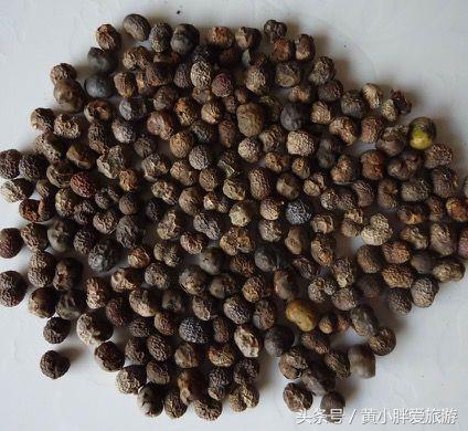 陆羽茶经茶之源原文,陆羽茶经的精髓