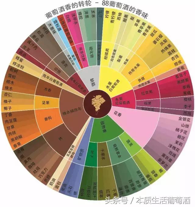 葡萄酒里面有哪些水果,喝葡萄酒前一定要知道的那些事