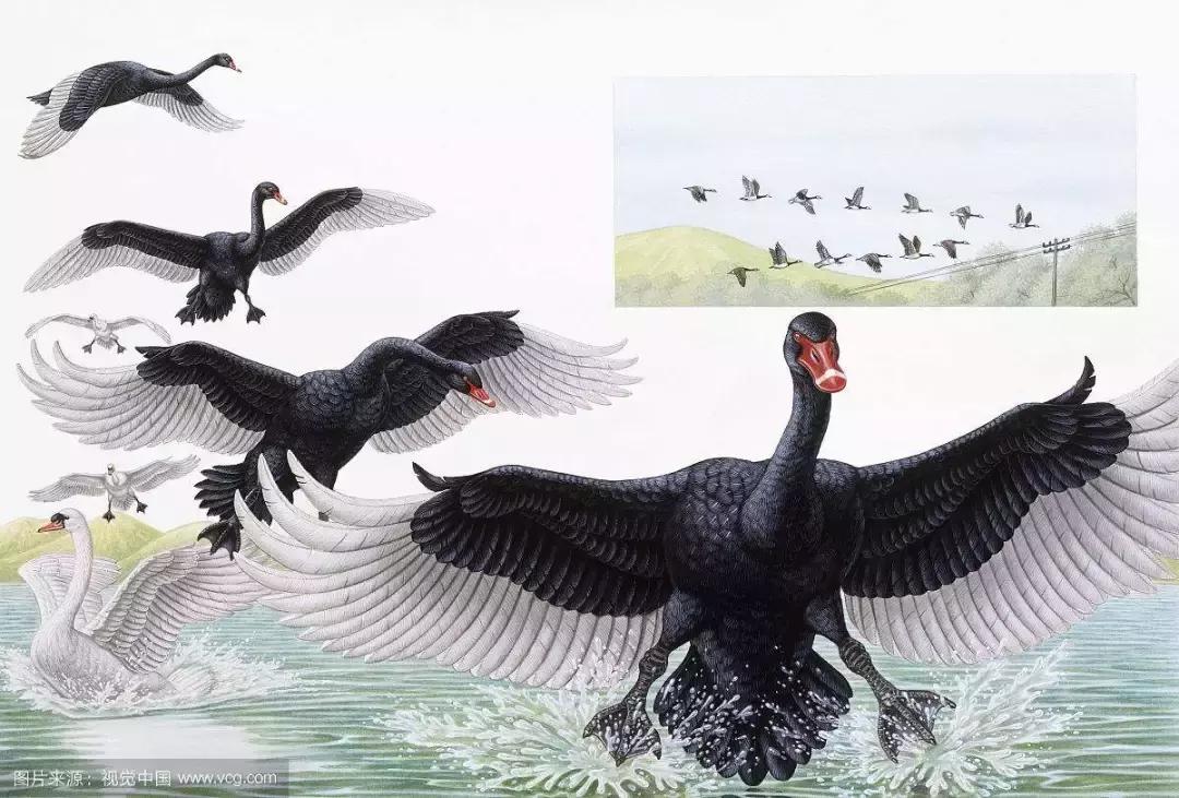 蔡为民房价多少,蔡为民房地产专家