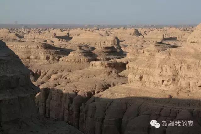 面积是全国最大县，农民收入直逼上海，说的就是*疆新**这个县