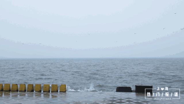 上海17号地铁能直达朱家角镇,上海朱家角地铁17号线出口