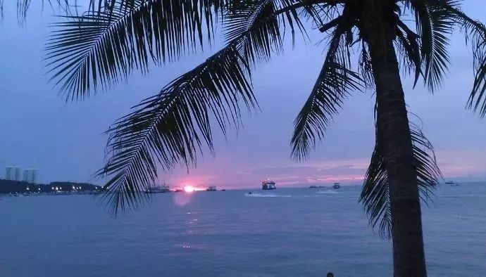 现在办理签证还来得及吗,现在办理签证