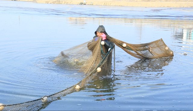 谁说农村不如城里,谁说农村生活不如城里