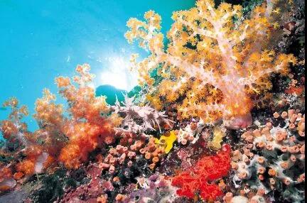 温馨提示一年一度的情人节到了,情人节重要提示