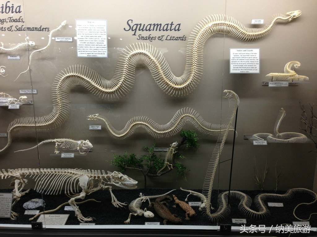 美国堪萨斯州斯莫威尔小镇,美国旅游胜地